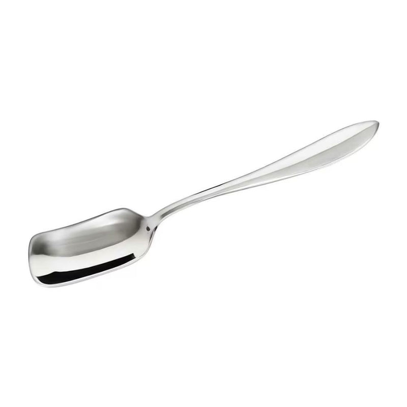 RasoiShop Stainless Steel Ice Cream Spoon Set - 2