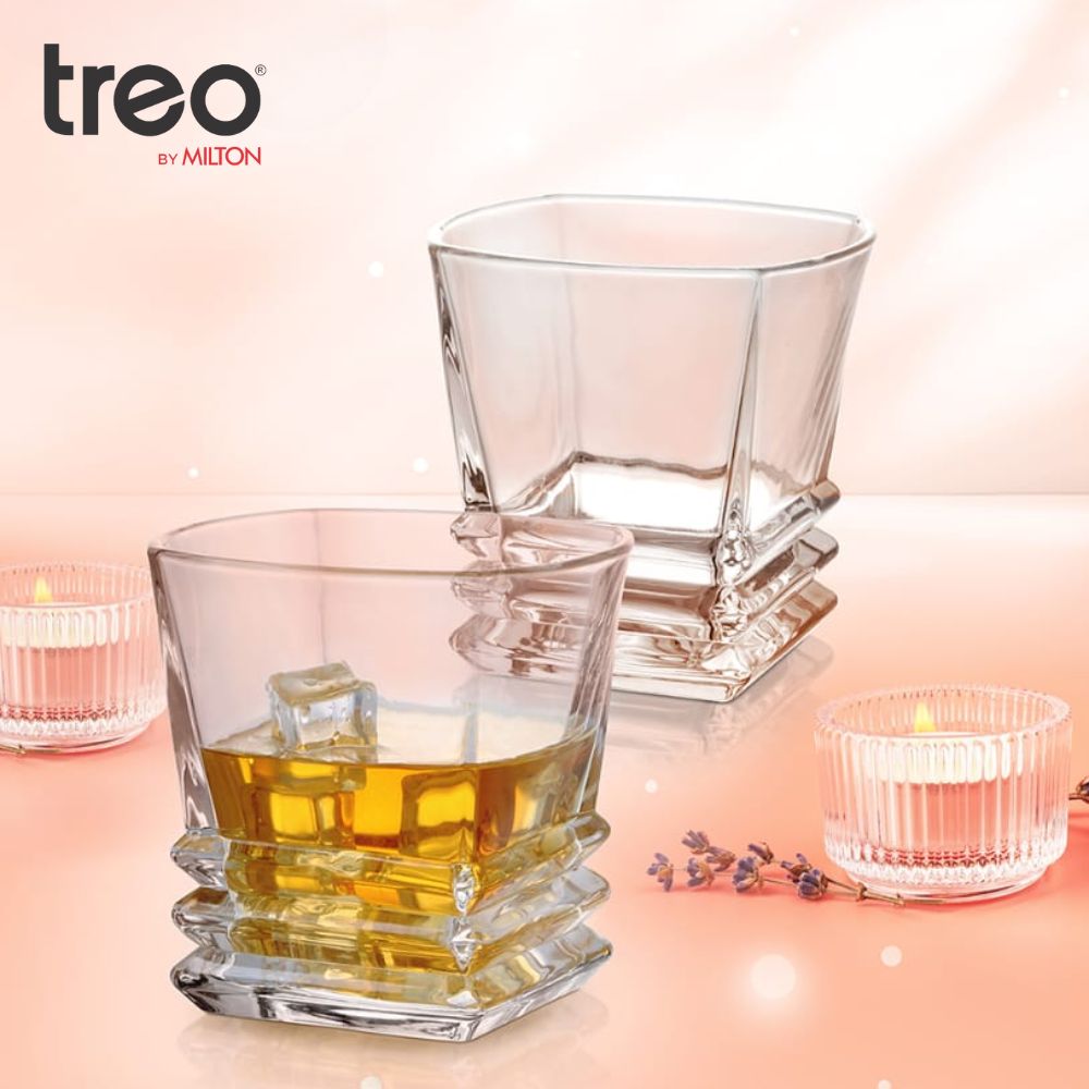 Treo Quadra On the Rocks 290 ML Tumbler - 4