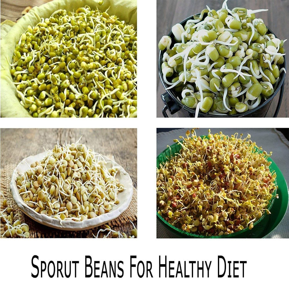 Plastic 3 Compartment 500 ML Round Sprout Maker - 5