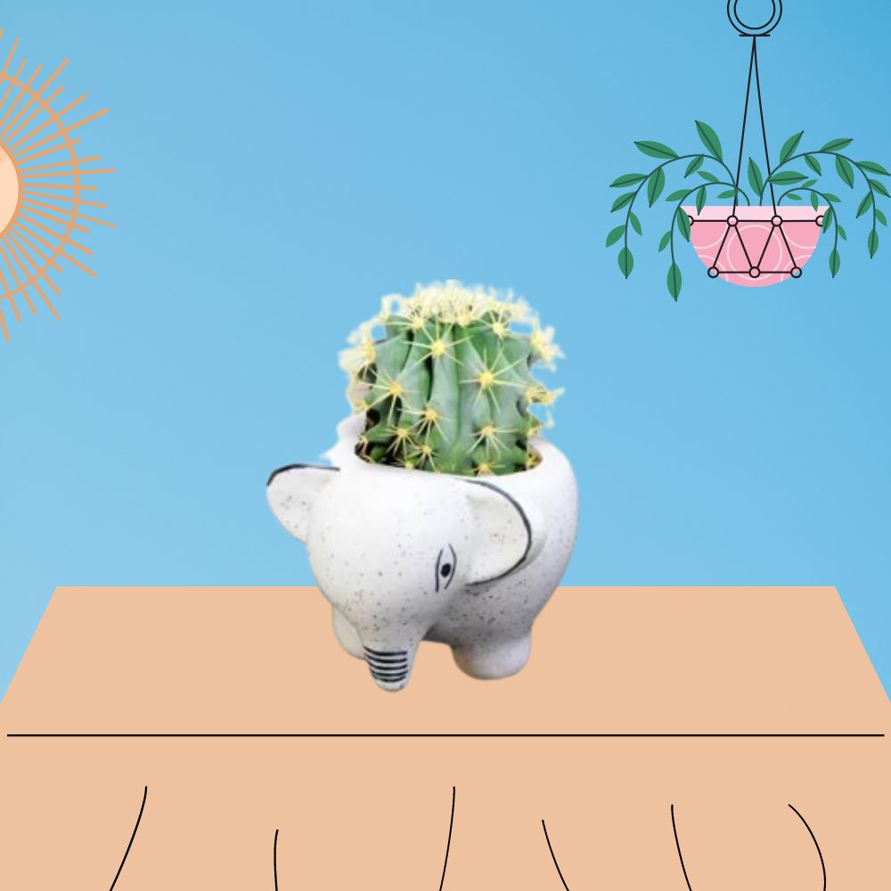 Softel Ceramic Cute Baby Elephant Planter - 5