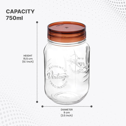 Treo Glass Vintage Jar - 7