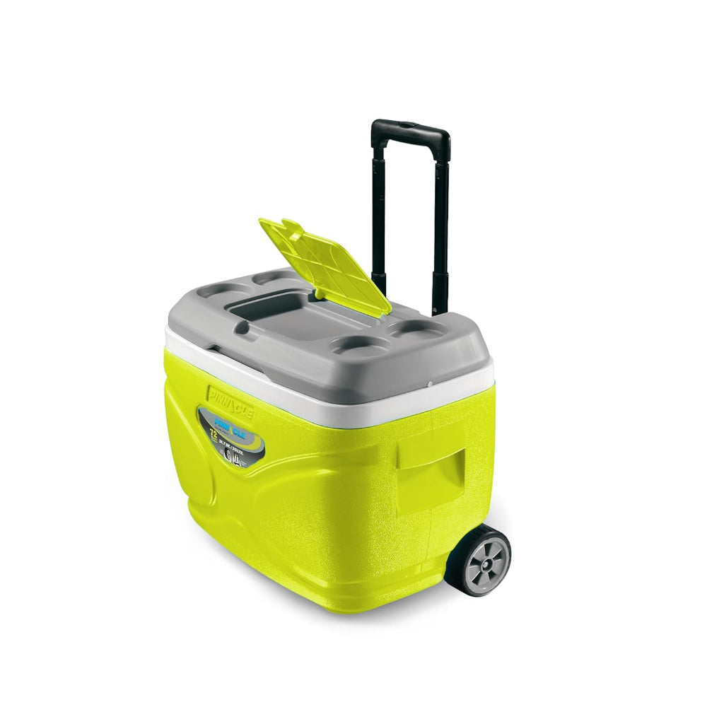 Pinnacle Prudence Chiller Ice Box - 11