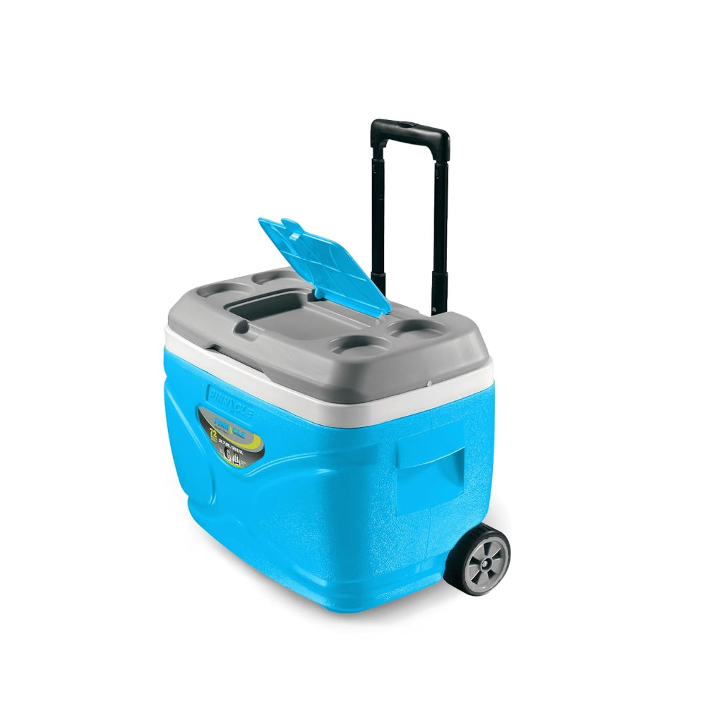 Pinnacle Prudence Chiller Ice Box - 12