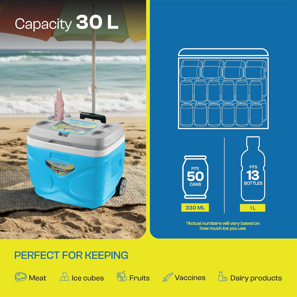 Pinnacle Prudence Chiller Ice Box - 13