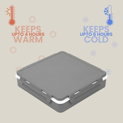 Pinnacle PentaGo Insulated Lunch Box (900ml) | Adjustable Divider | Microwave Safe Lunch Box | 4 Compartments | Lunch Box for Kids & Office Women | Keeps Warm for 4hrs |