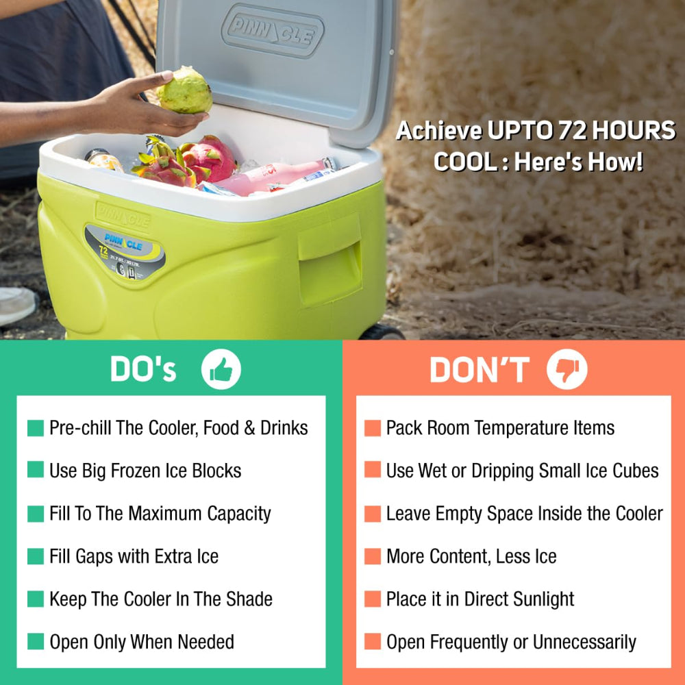 Pinnacle Prudence Chiller Ice Box - 17