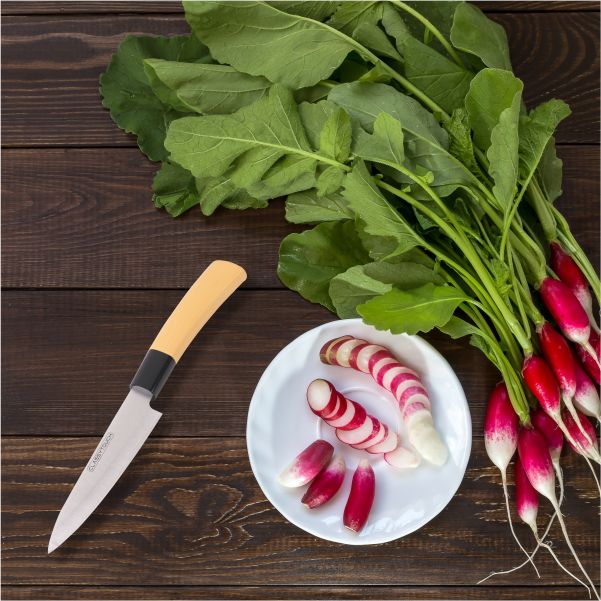 Stainless Steel Chef Knife, Wood Textured ABS Plastic Handle – Sandal Color (24 cm)