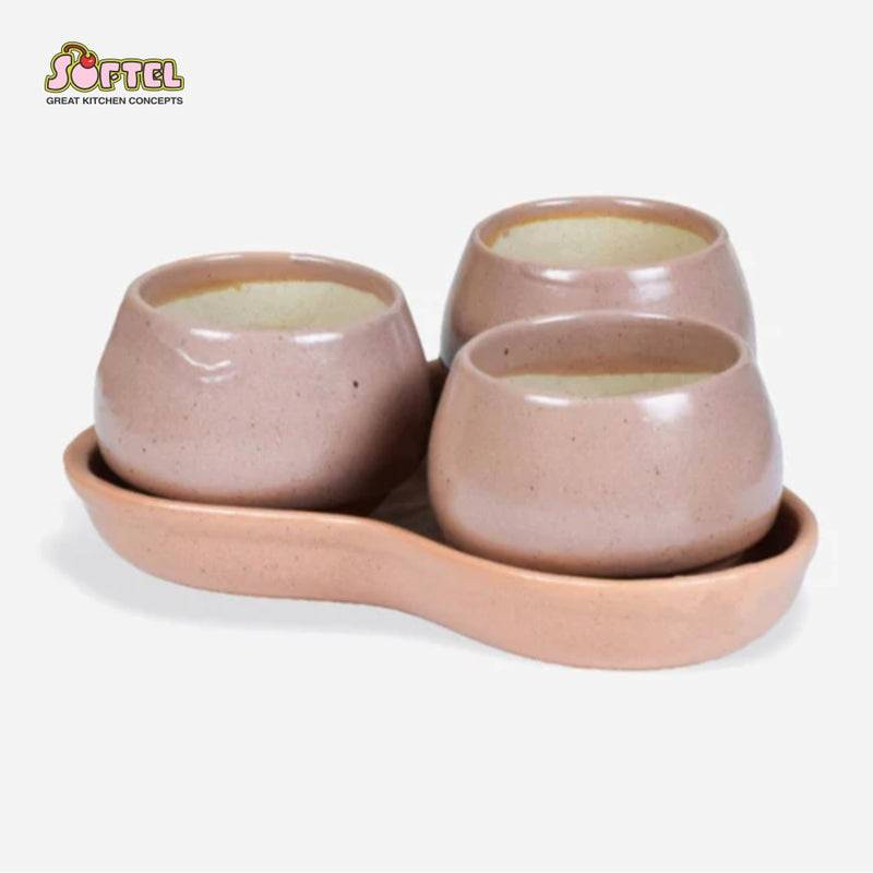 Softel Ceramic Dholak Planter with Base - 4