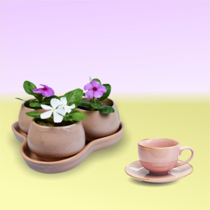 Softel Ceramic Dholak Planter with Base - 3