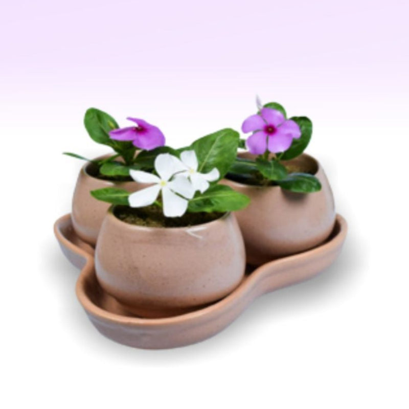 Softel Ceramic Dholak Planter with Base - 2