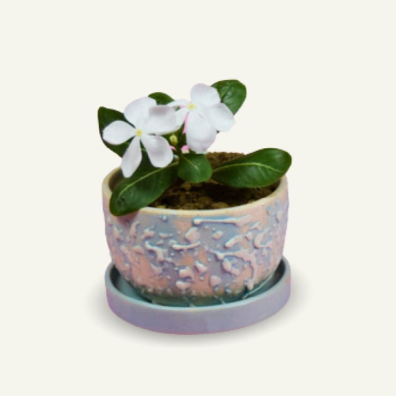 Softel Ceramic Textured Planter with Base - 5