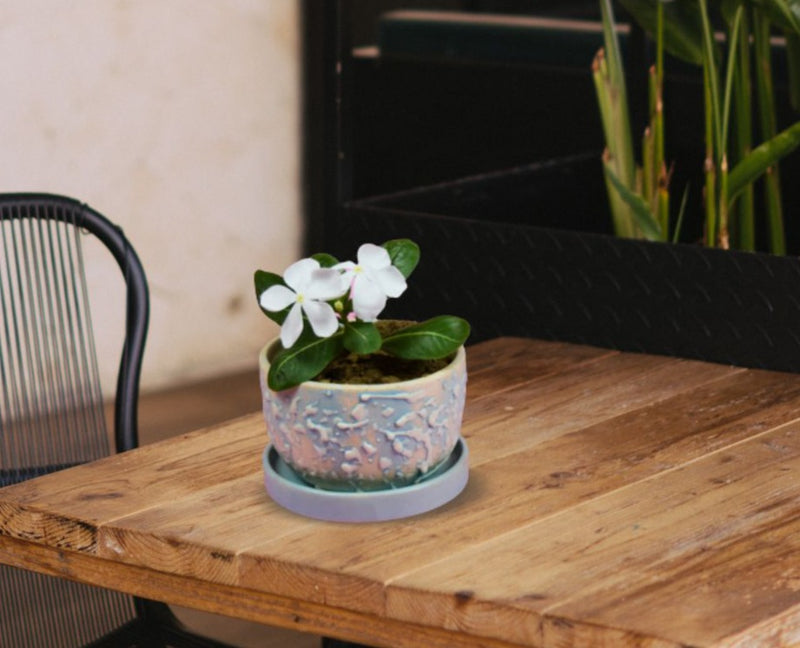 Softel Ceramic Textured Planter with Base - 4