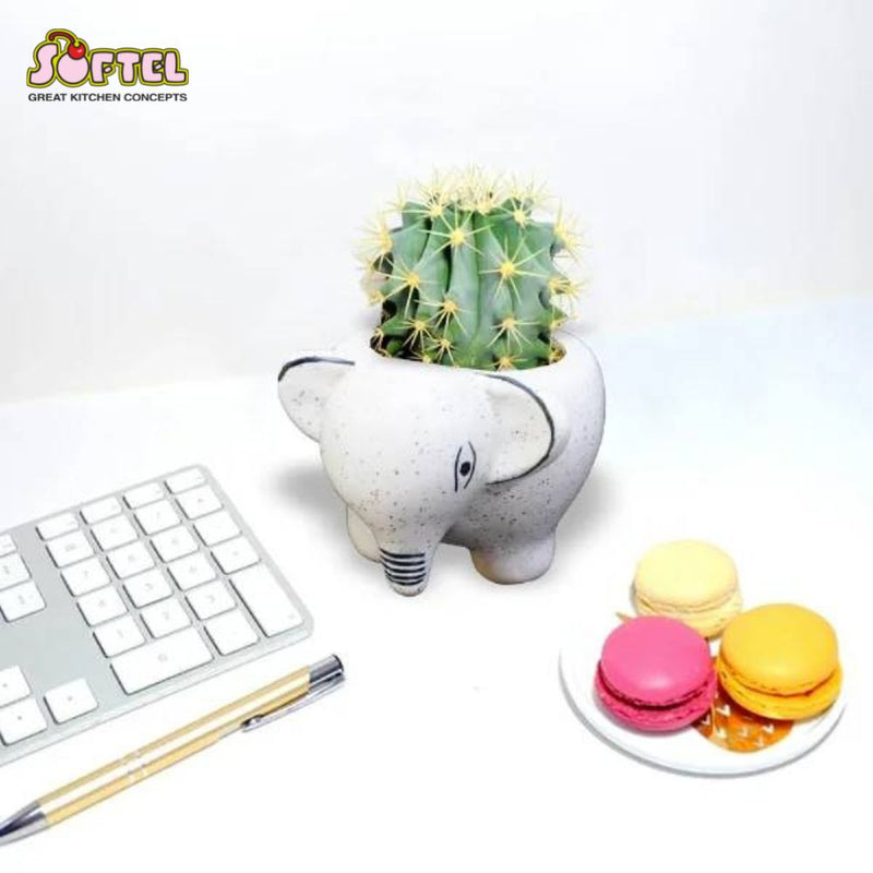 Softel Ceramic Cute Baby Elephant Planter - 4