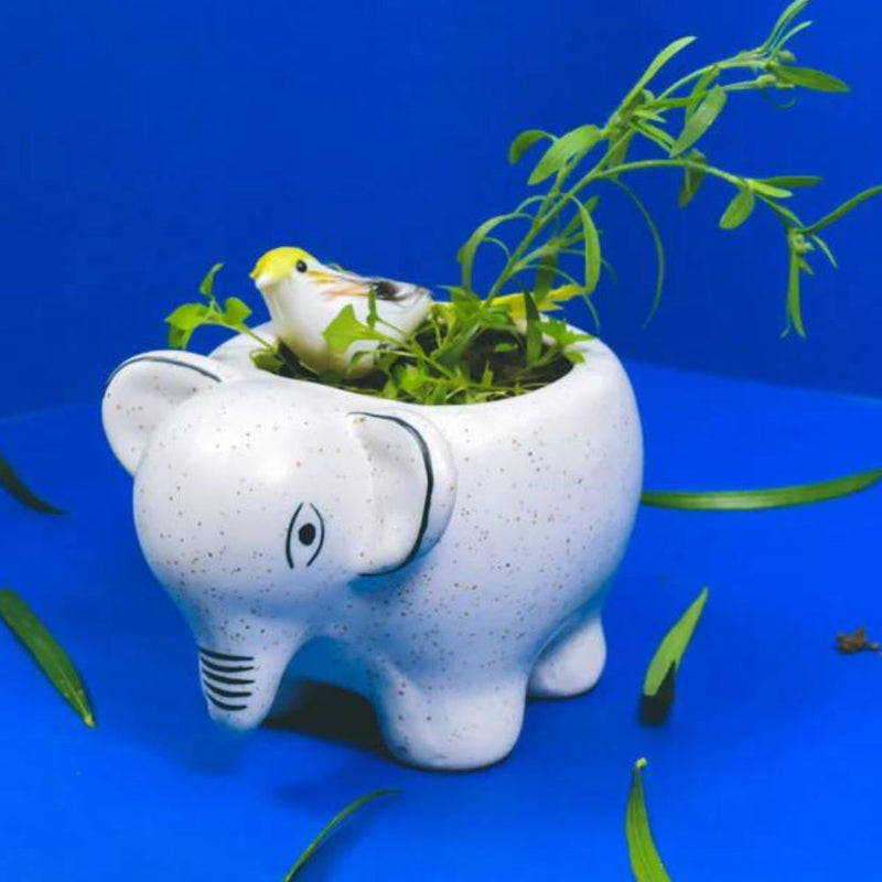 Softel Ceramic Cute Baby Elephant Planter - 3