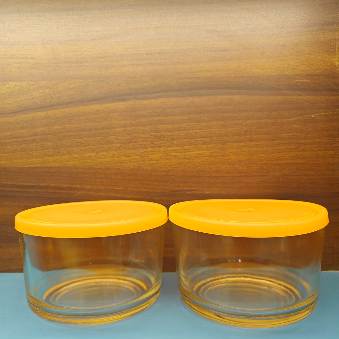 Yera Freezowarm Bowls with Lids - 785 ml - Set of 2 Pieces on www.rasoishop.com