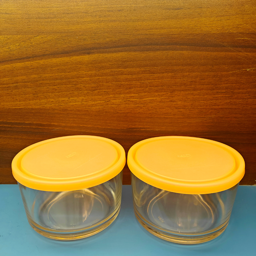Yera Freezowarm Bowls with Lids - 785 ml - Set of 2 Pieces on www.rasoishop.com